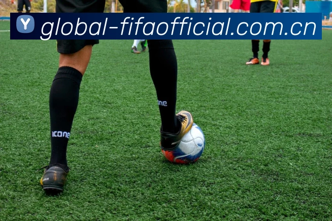 FIFA官方彩票数据授权证书